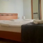 Skiper - Umag - Lgp * Savudrija