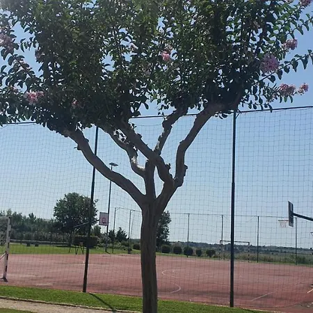 Skiper - Umag - Lgp * Savudrija