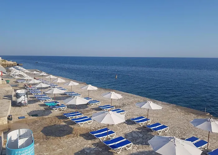 Skiper - Umag - Lgp