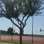 Skiper - Umag - Lgp * Savudrija
